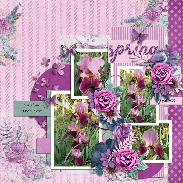 Irises