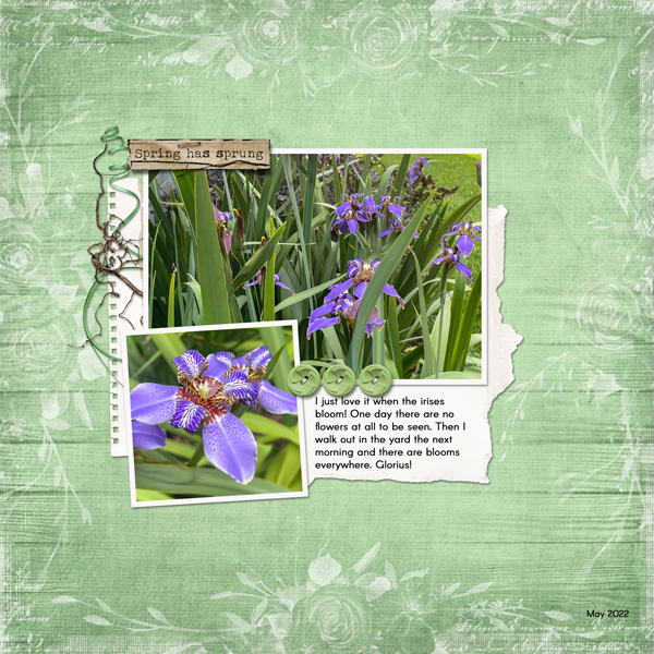 Irises