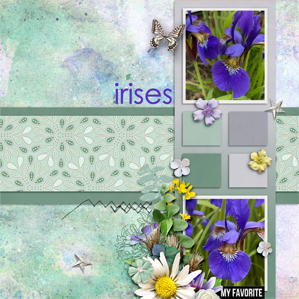 Irises