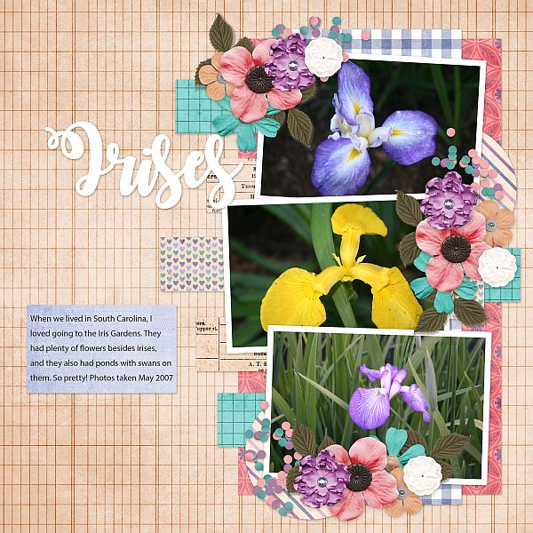 Irises