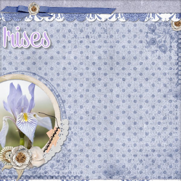 Irises2