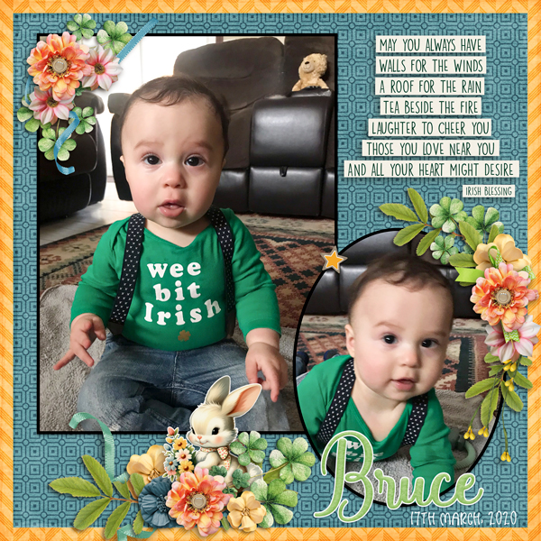 Irish Bruce