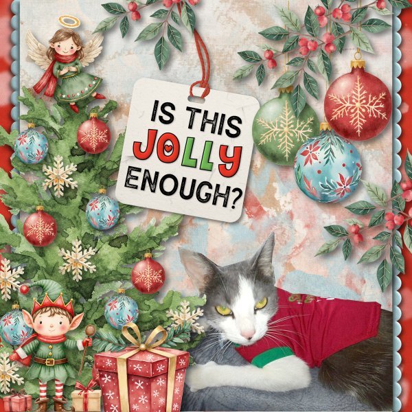 Is this Jolly enough?