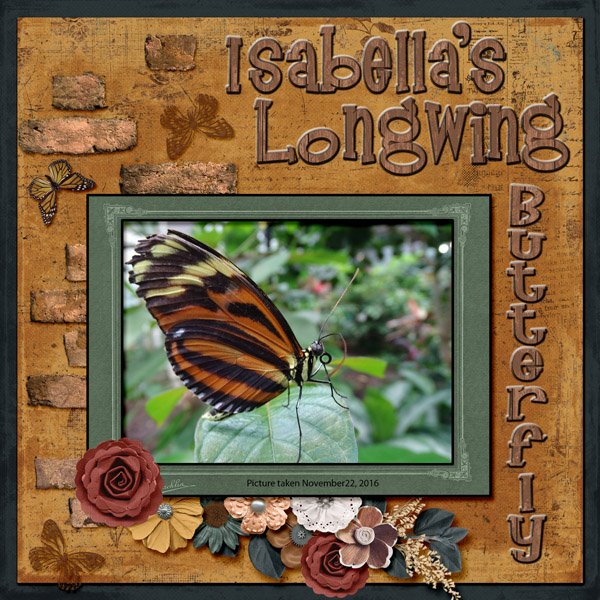 Isabella's Longwing Butterfly small1.jpg