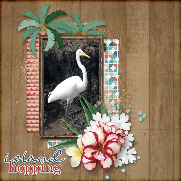Island Hopping