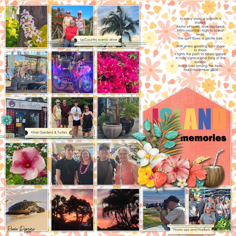 Island Memories