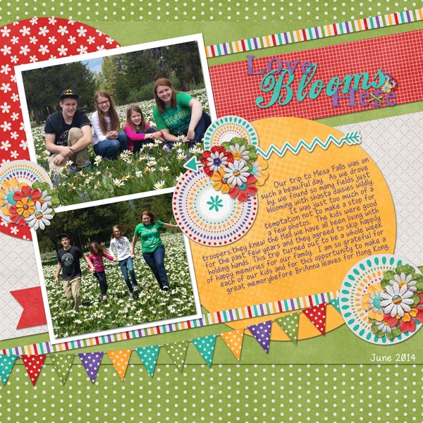 Island-Park-WildflowersWEB