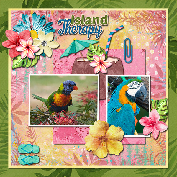 Island Therapy