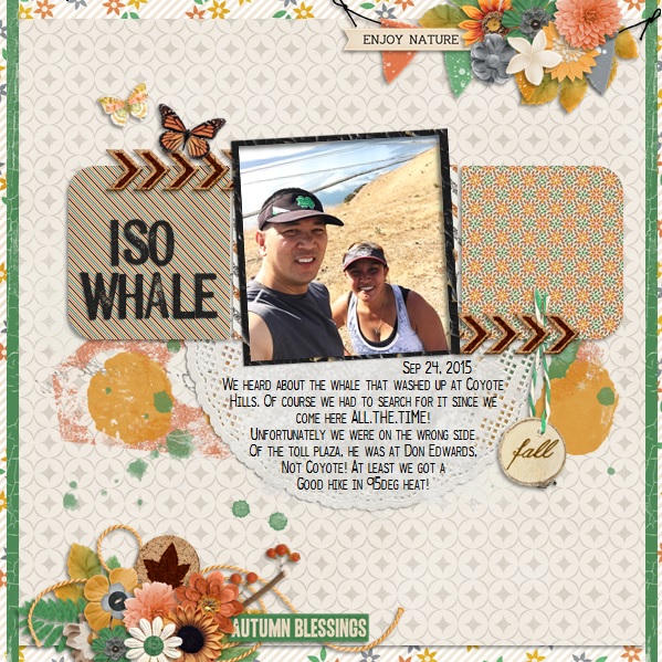 ISO Whale