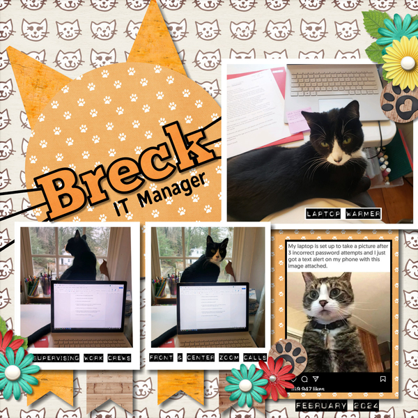 IT Manager Breck