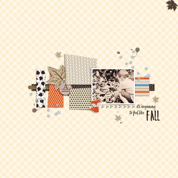 It s beginning to feel like fall