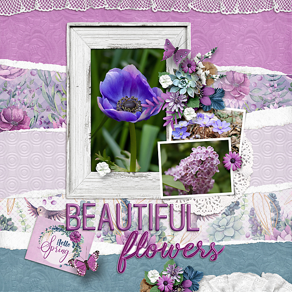 It' Spring Time