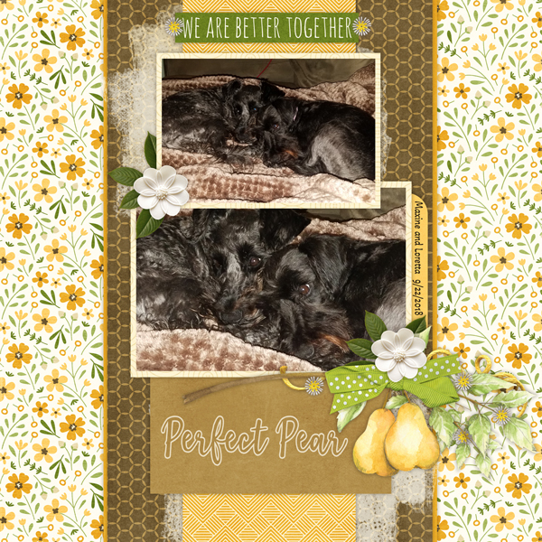 It takes Two  Template Vol 24-3