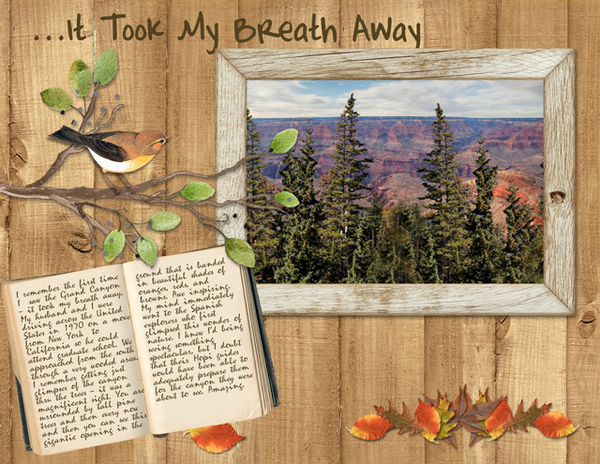 It Took My Breath Away