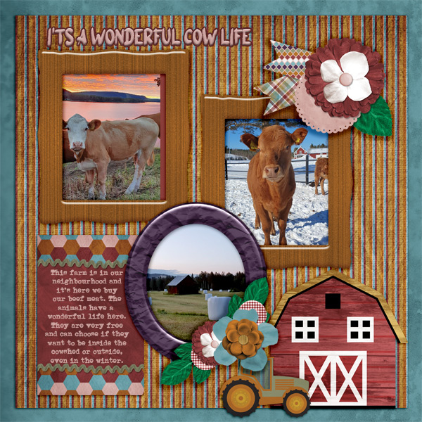 It_s-a-wonderful-cow-life