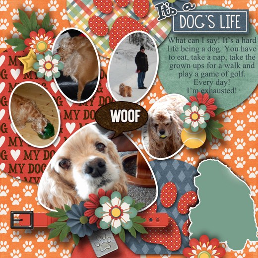 It_s_a_dog_s_life