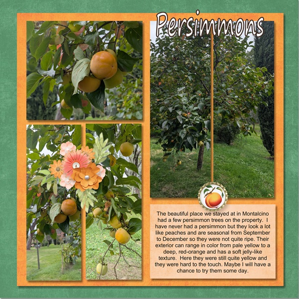 Italy_Persimmons