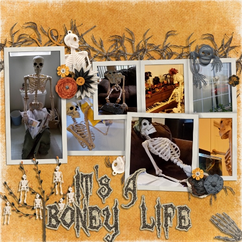 Its a Boney Life