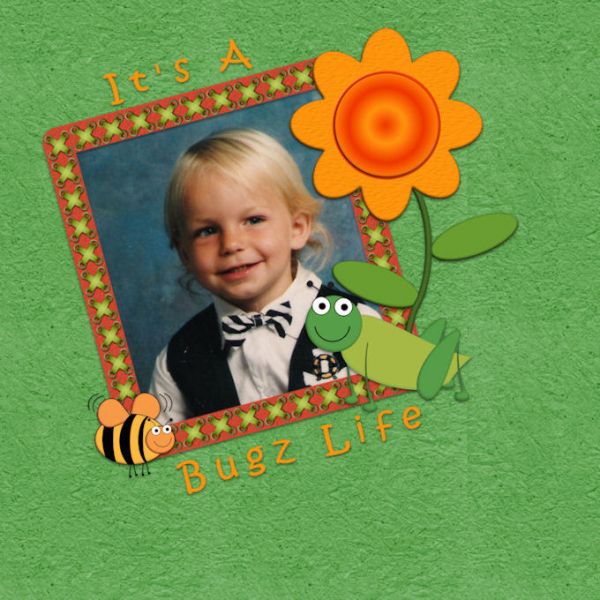 It's A Bugz Life