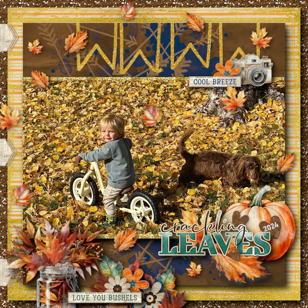 It's A Fall Thing