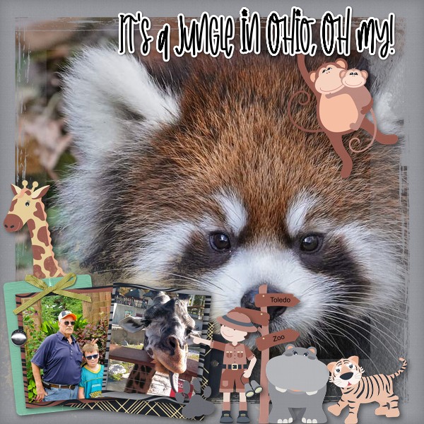 It's a Jungle in Ohio, Oh My!