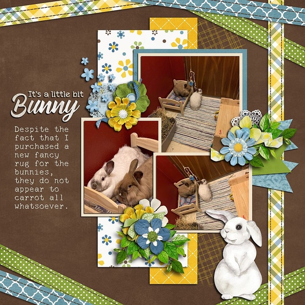It's a little bit Bunny