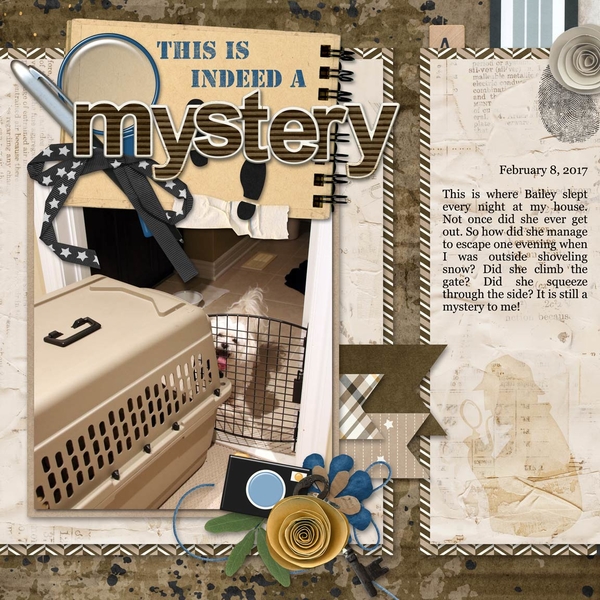 It's a Mystery