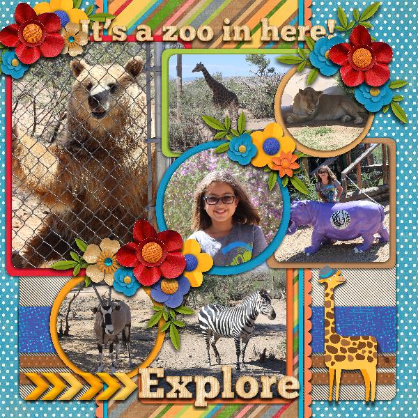 It's A Zoo
