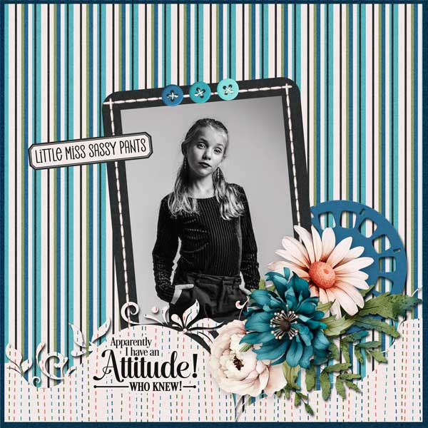 its-all-about-the-attitude_1-