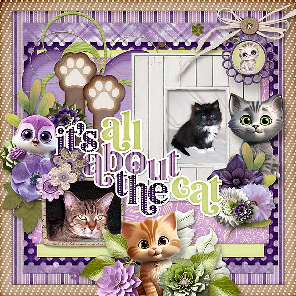 Its All About The Cat