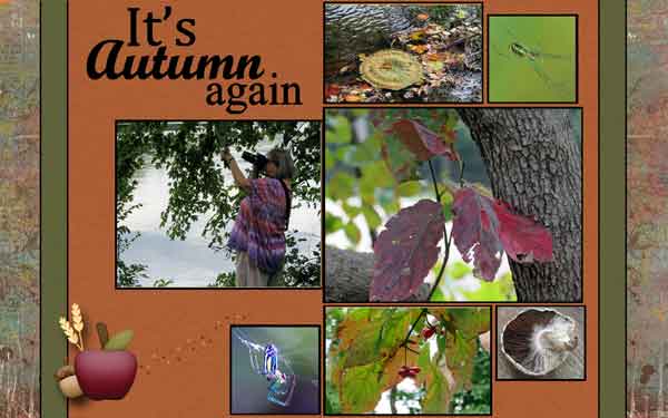 It's Autumn again