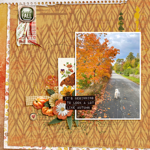 Its beginning to look a lot like autumn