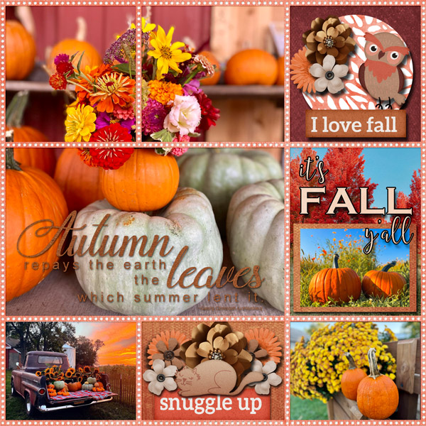 It's Fall Y'all