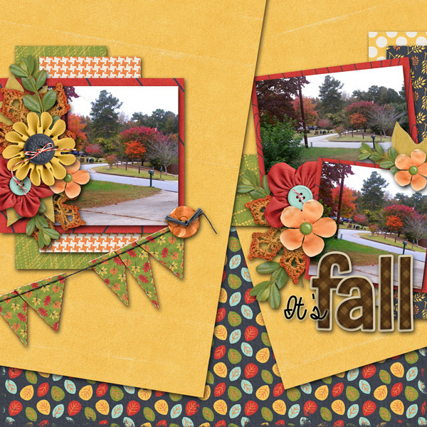 It's Fall