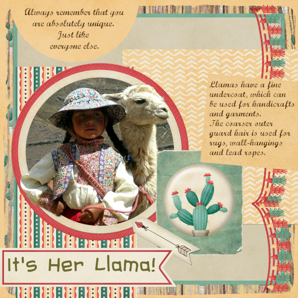It's Her Llama!