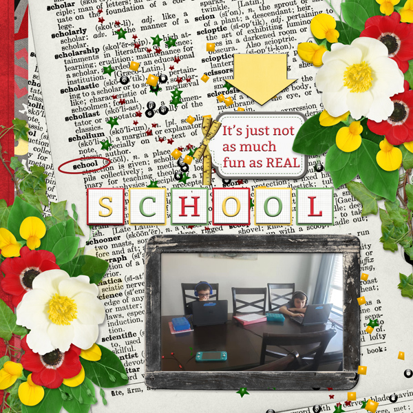 It's just not as much fun as REAL SCHOOL