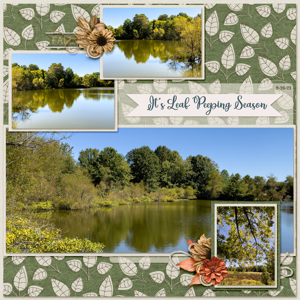 It's leaf Peeping Season