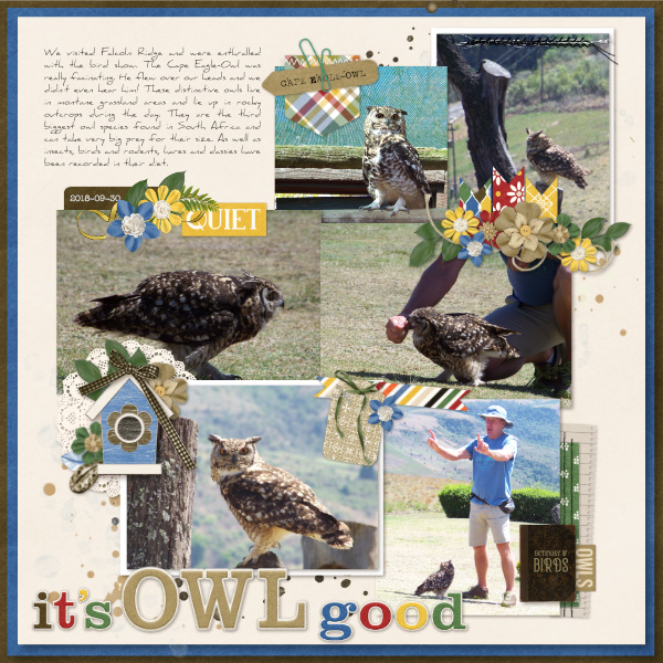 Its Owl Good