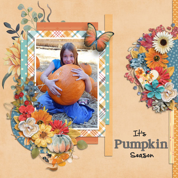 It's Pumpkin Season