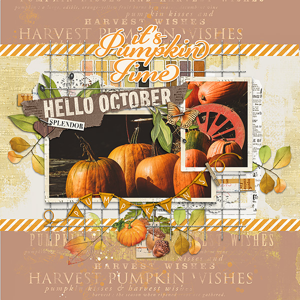 It's Pumpkin Time