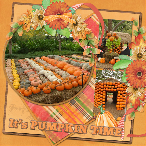 It's PUMPKIN TIME