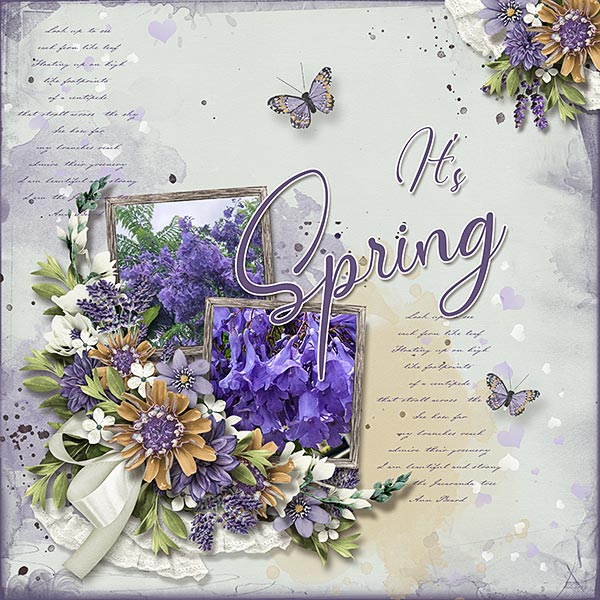 It's-Spring-copy.webjmb.jpg