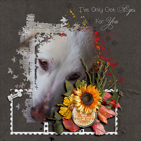 I've Only Got Eyes For You