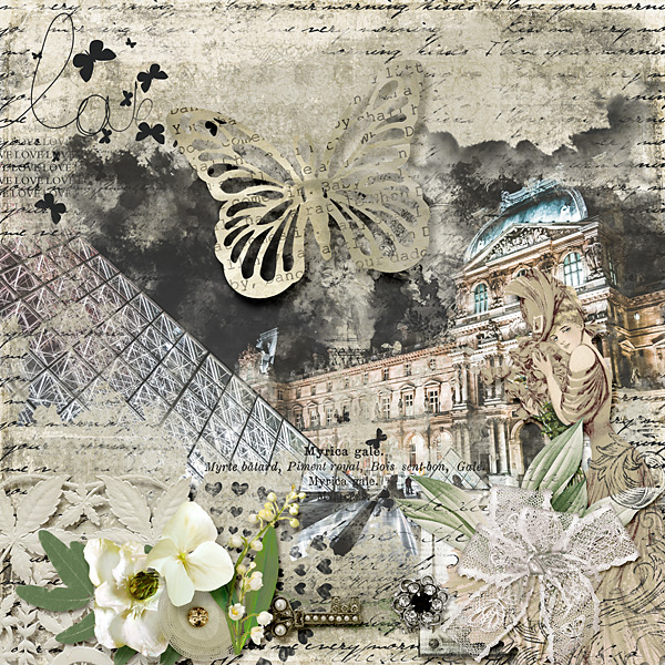 Ivory and Lace