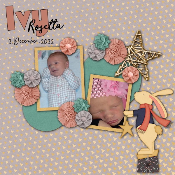 Ivy Rosetta