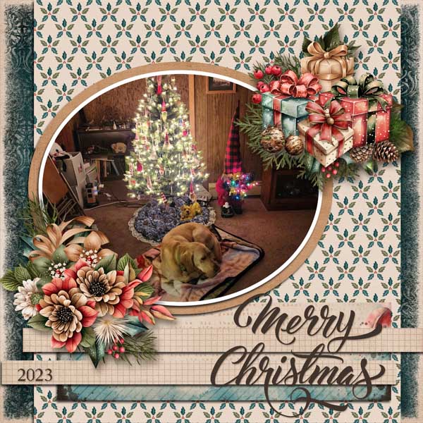 Jac_s_First_Christmas