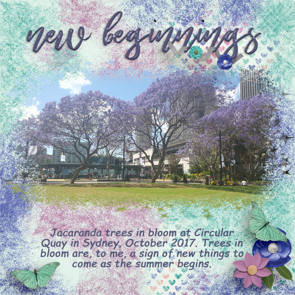 Jacaranda