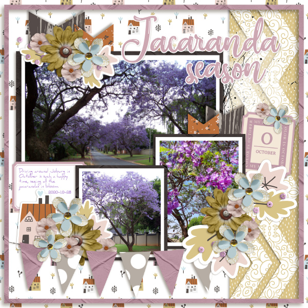 Jacaranda