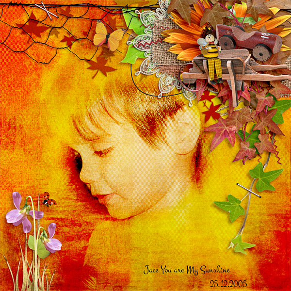 Jace - You are My Sunshine