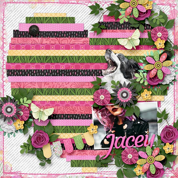Jacey